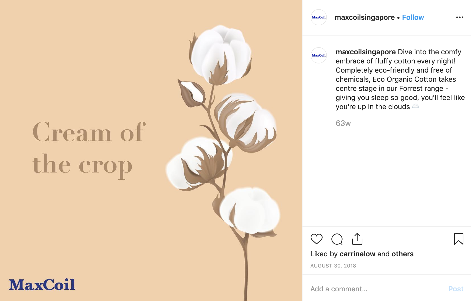 Screenshot 2019-11-20 at 12.40.14 AM
