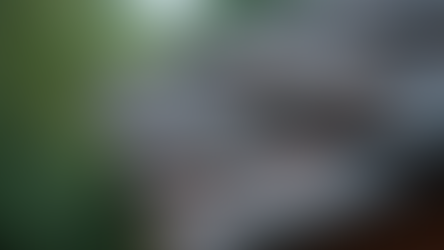 Fast Roof Leak Repair Solutions for Your Home