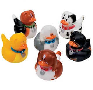 Dog Rubber Ducks.jpg