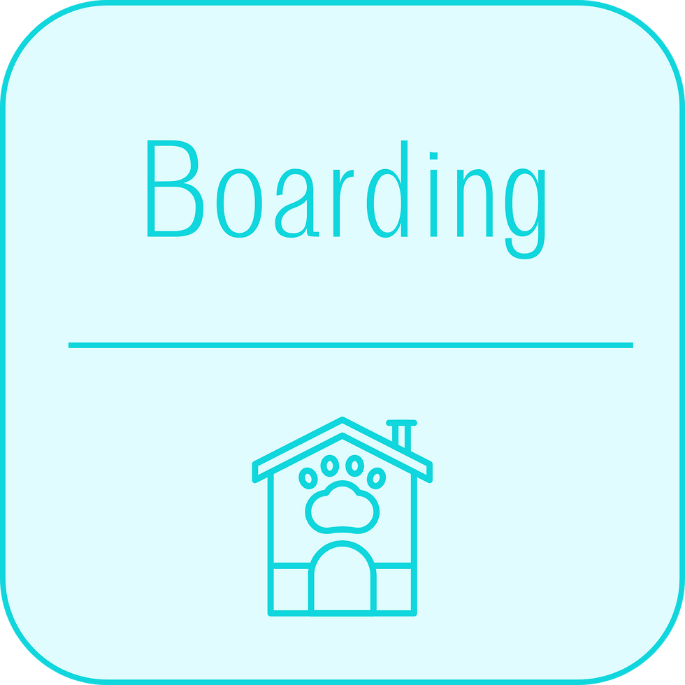 Sweet Pets Pet Sitting - Alojamiento de mascotas