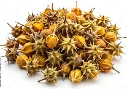 Thumbnail: Tribulus Fruit - Whole