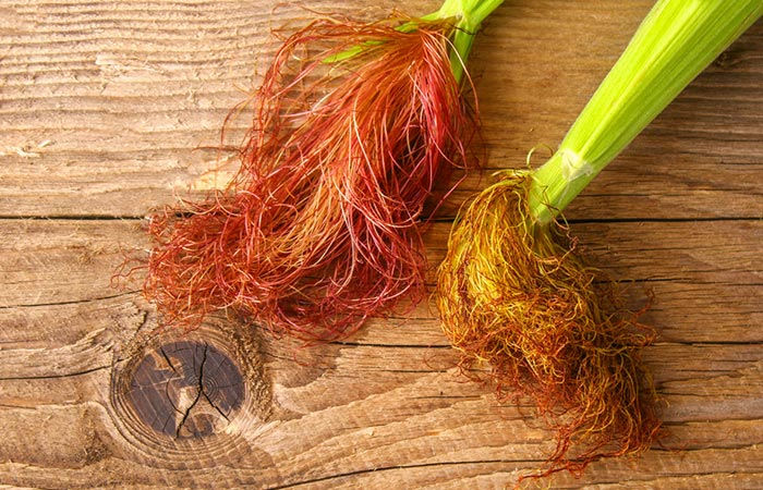 Thumbnail: Cornsilk - Cut - Approx. 20 tsps.