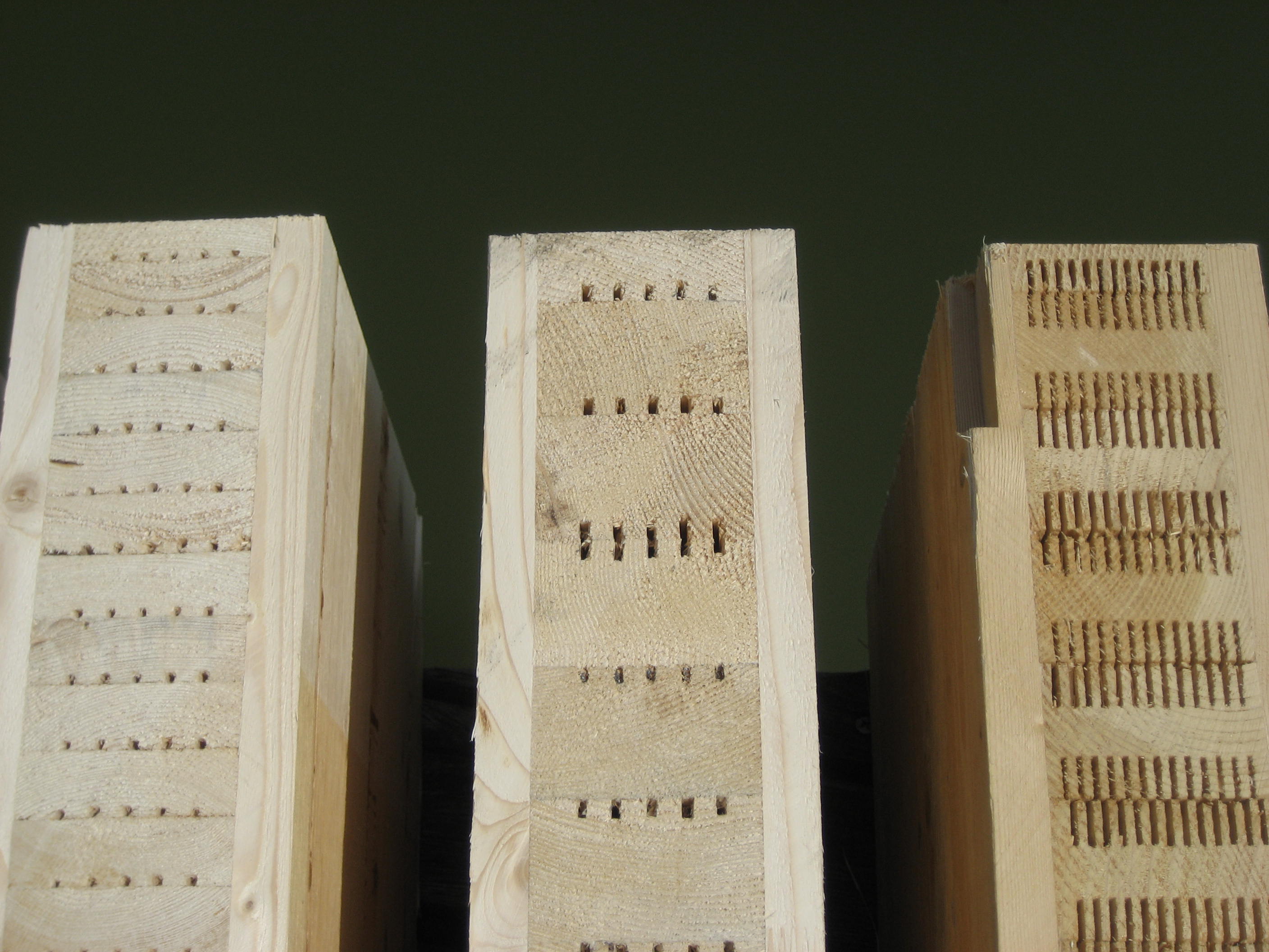 Holzhaus Bildergalerie im XXL-Format