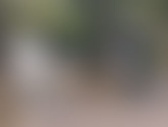 JNHOJE - Veja que veículos vão passar a exigir placa e CNH dos condutores a partir de 2026