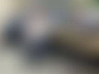 JNHOJE - Suzano destaca impacto socioeconômico da indústria papeleira na Bahia