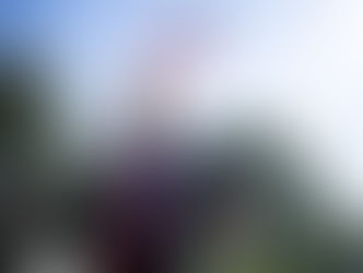 Governo Trump confirma ausência na COP30 em Belém