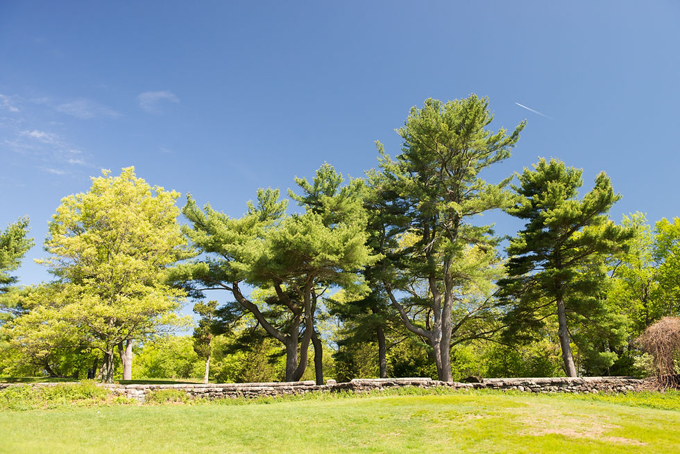 EWG_20140521_035.jpg