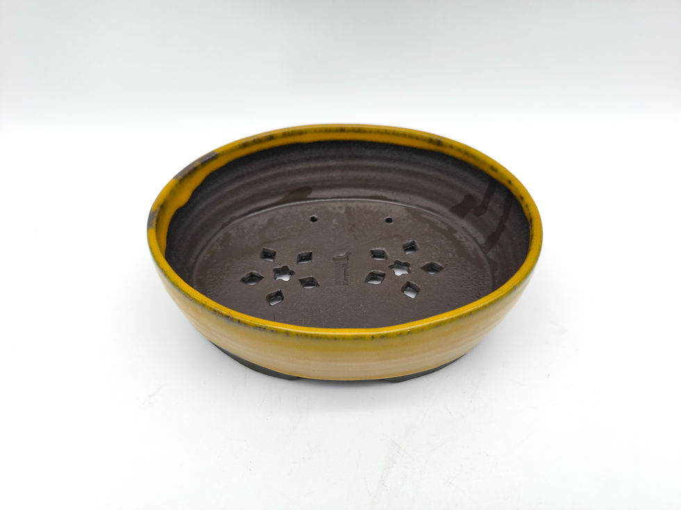 Kai Sperling Bonsaischale, oval (Außenmaße: 17,5 x 15 x 5,5 cm), gelb