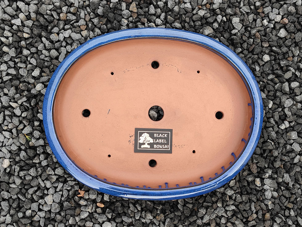 Miniaturbild: Bonsaischale, oval (Außenmaße: 47,5 x 37 x 6,5 cm), blau