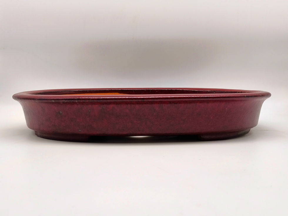 Bonsaischale, oval, (Außenmaße: 48 x 37 x 7 cm), rot