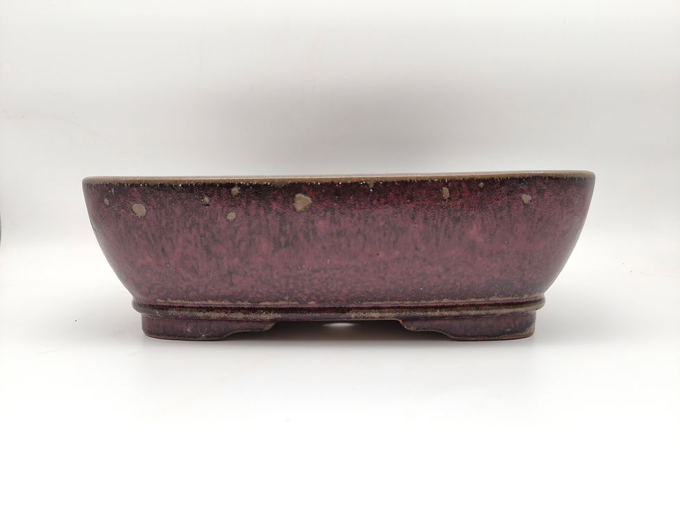 Bonsaischale, eckig, (Außenmaße: 31,5 x 25 x 10 cm), rot