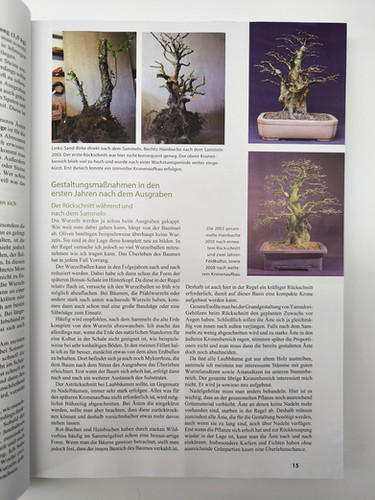 Bonsai-Geschichten  oder wie aus heimischen Findlingen Bonsai wurden, Haas  | Black Label Bonsai