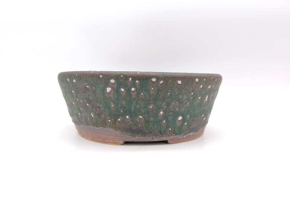 Kai Sperling Bonsaischale, rund (Außenmaße: 21,5 x 21,5 x 7,7 cm), grün-grau