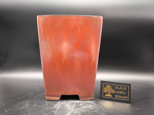 Bonsaischale, Kaskade (Auenmae: 18,5 x 18,5 x 23,5 cm), rost-rot | Black  Label Bonsai