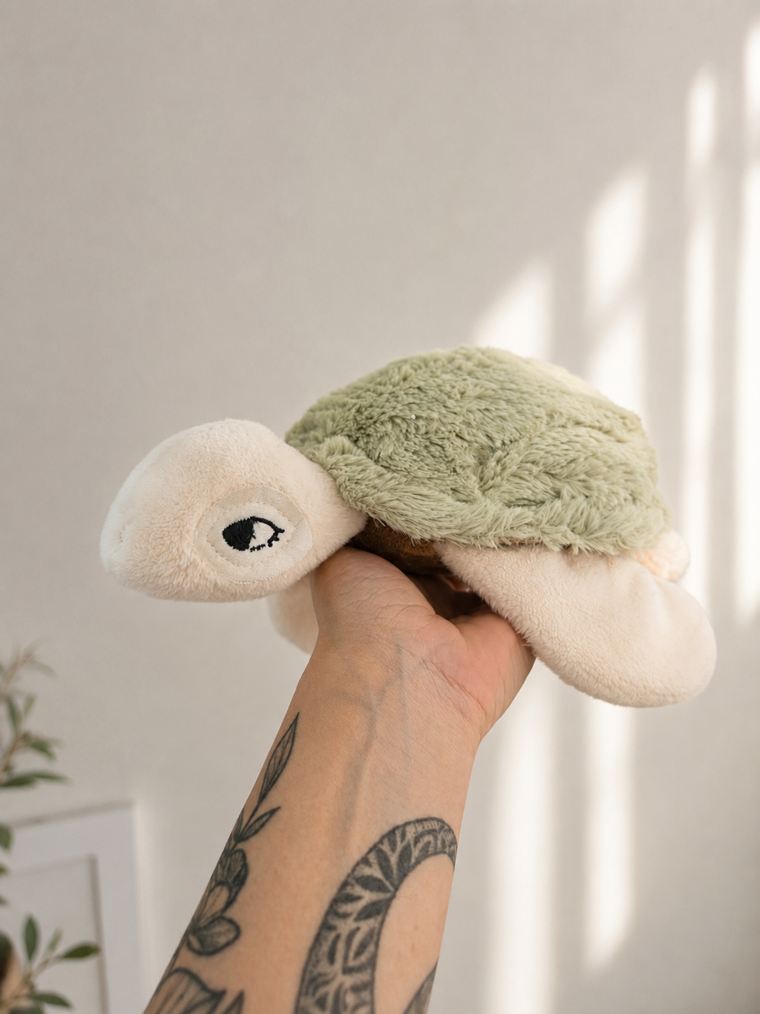 Tortue douceur