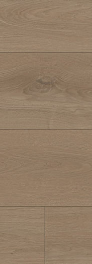 SBPT, Black Forest +
Wild thorn, Swakopmund