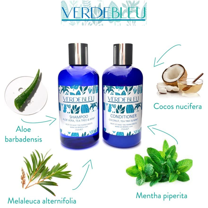 Thumbnail: SHAMPOO OILY HAIR - With ALOE VERA, TEA TREE & MINT - 250ml