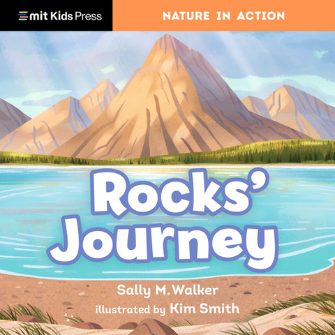 cover of Rocks' Journey
