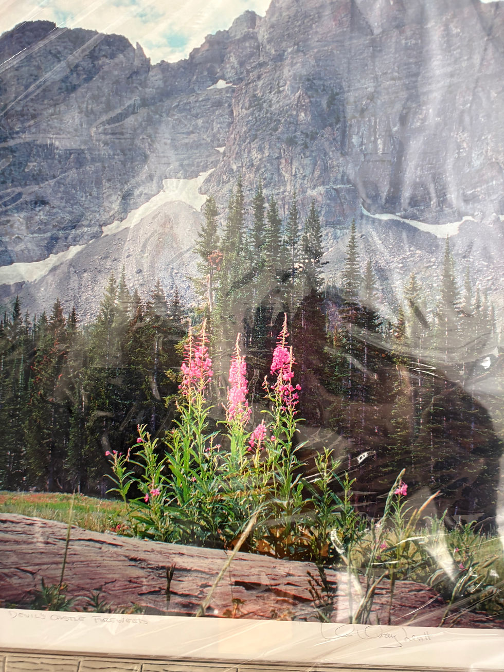 Thumbnail: Devils castle fireweed - signed - Mimi photography