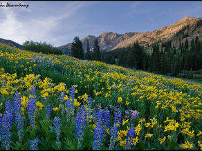 Enjoy the Fourth of July: How to Recreate Responsibly! 