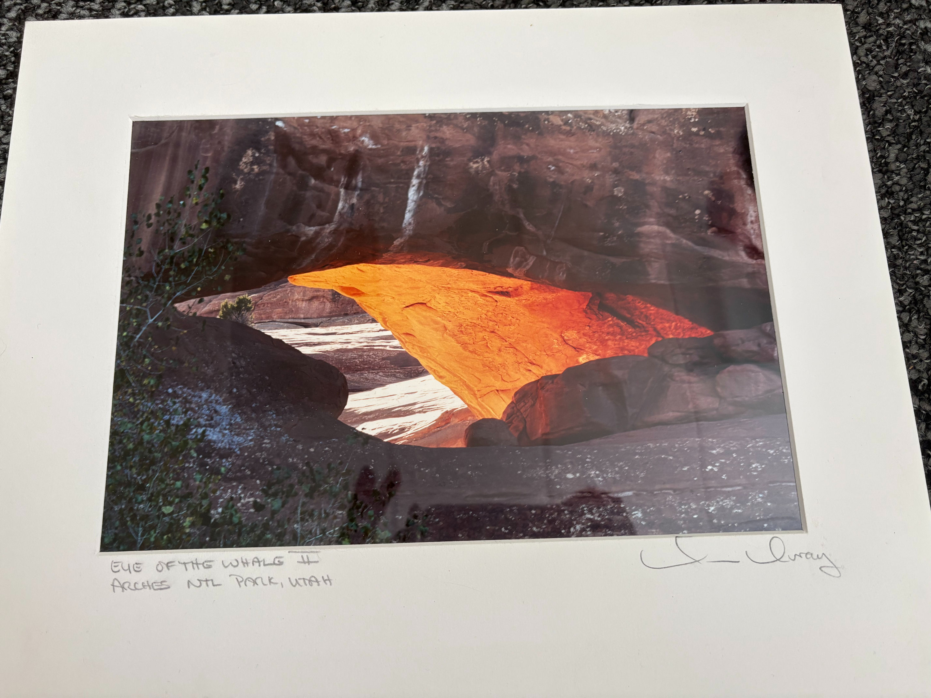 Signed Photograph with Mat - Eye of the whale 2