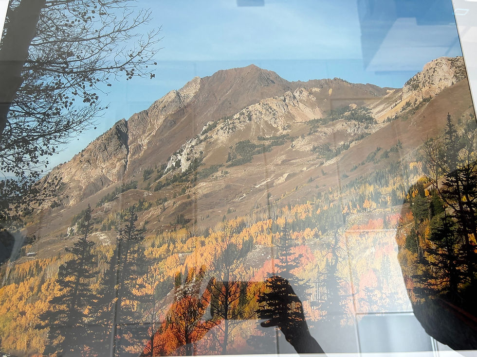 Thumbnail: Fall Alta - Mimi photography 