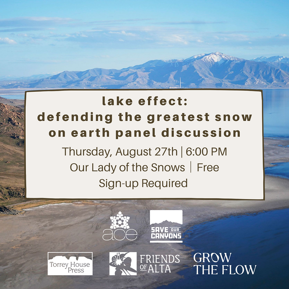 Lake effect: defending the greatest snow on earth panel discussion