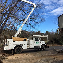 Pope Tree Service Trees | Pope's Tree Service, LLC