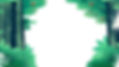 Illustrated Forest Background
