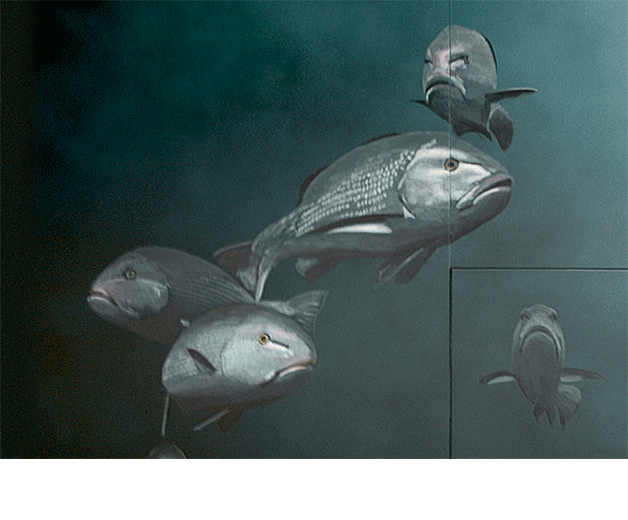 Poissons