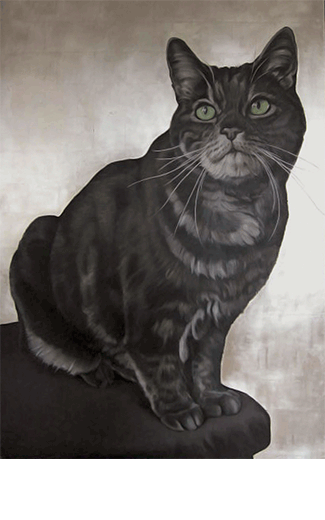 Chat