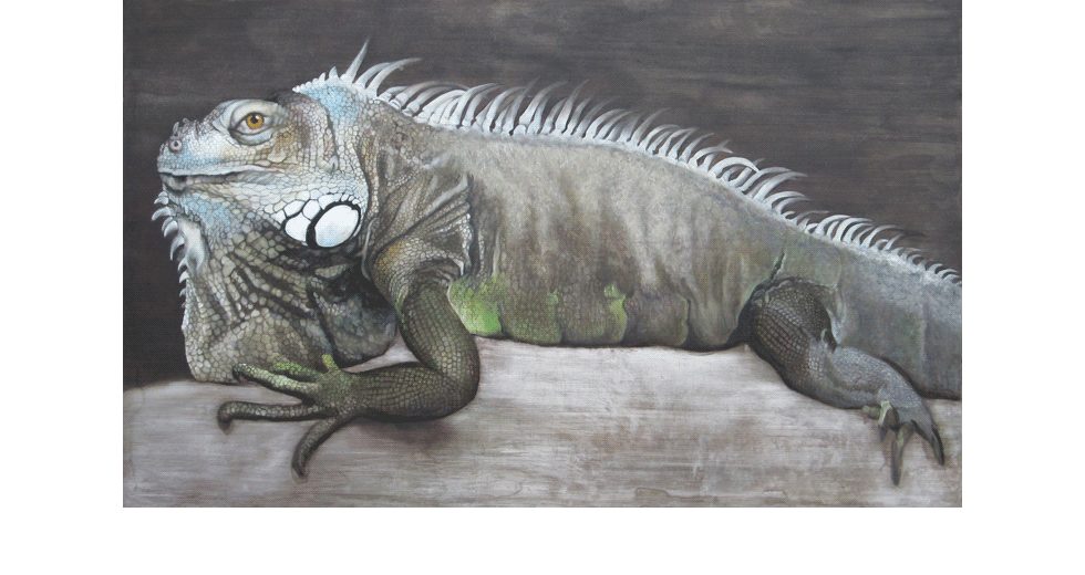 Iguane