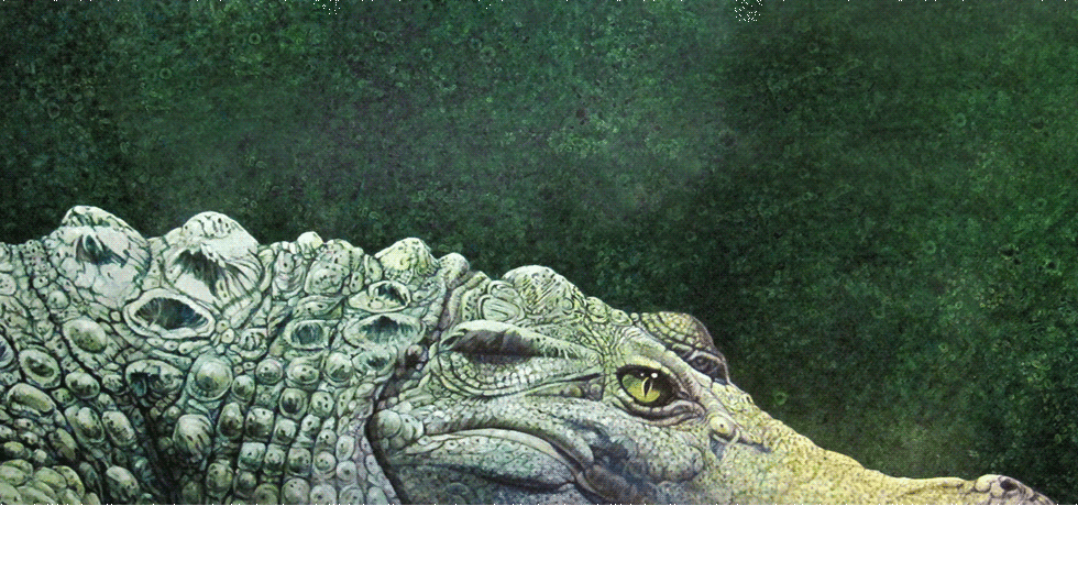Crocodile