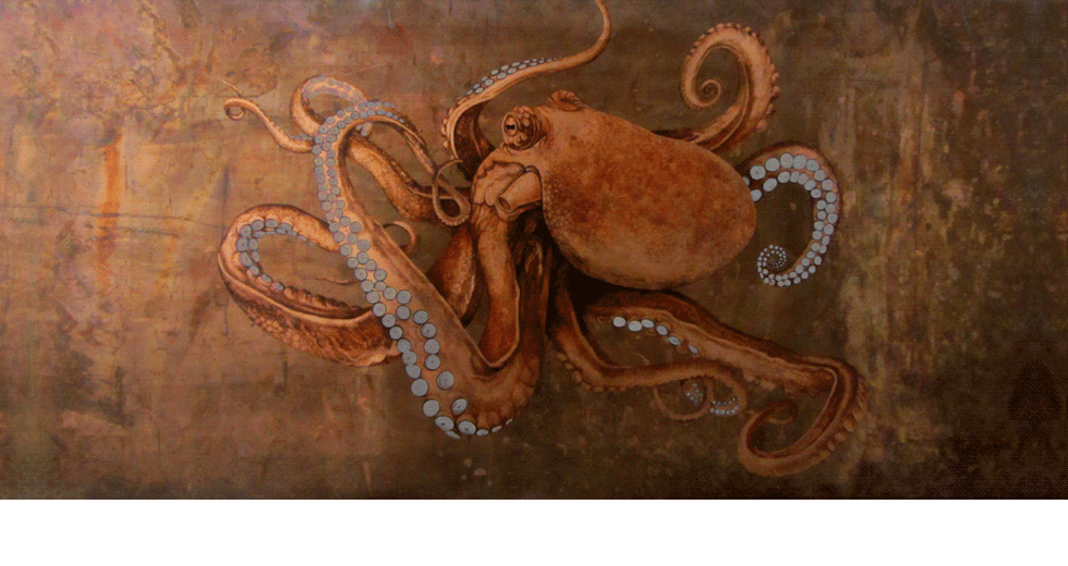 Octopus