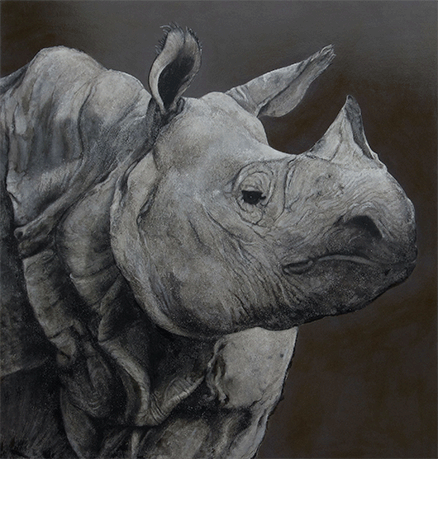 Rhinocéros