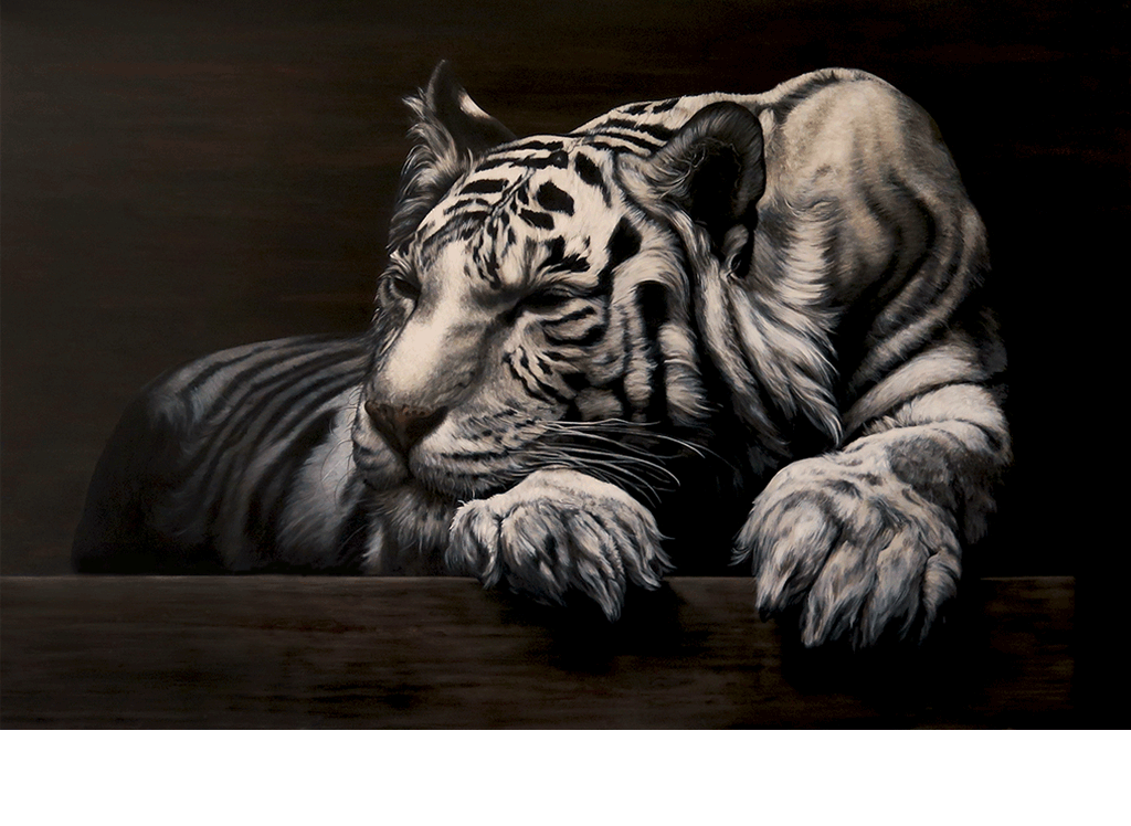 Tigre blanc