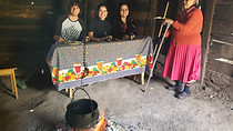 20181230_132727.jpg