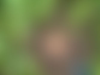 Radna terapija i nagrada