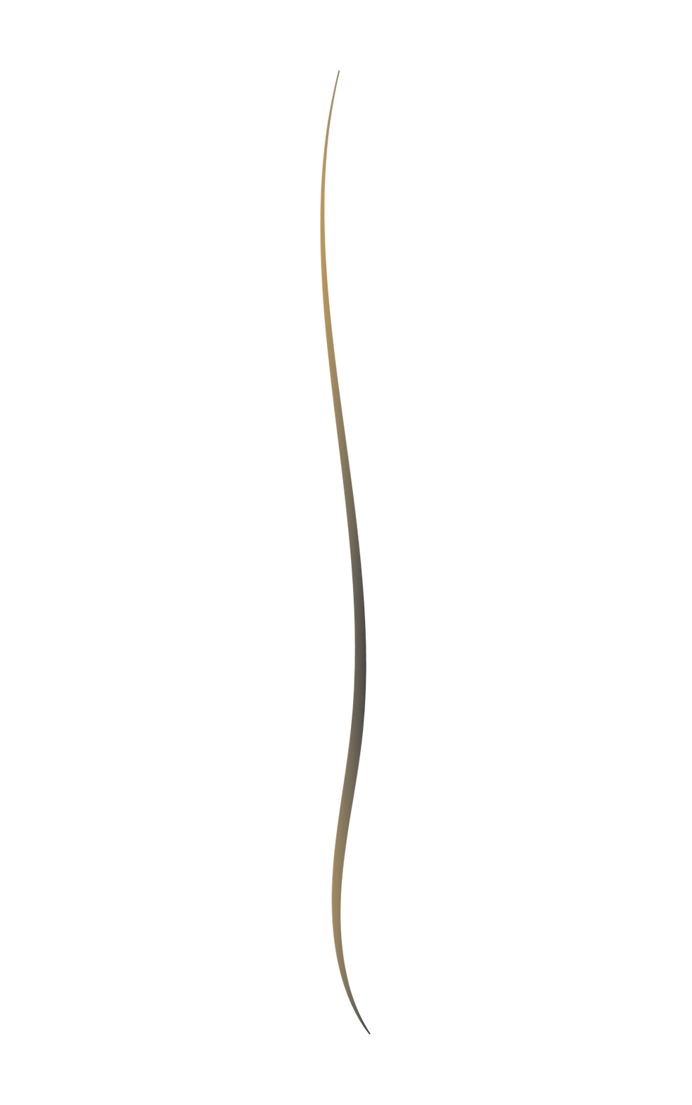 Background line 2.png