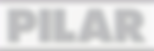 Pilar_edited.png