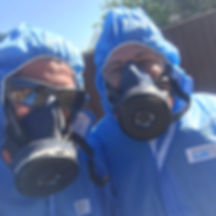 ASBESTOS REMOVAL PROFESSIONALS