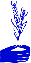 wheat.png