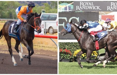 Winning Streak For Master of Design