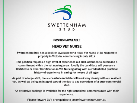 Position Available - Vet Nurse
