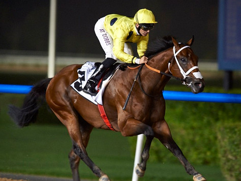 Rising star by Equiano in Emirates