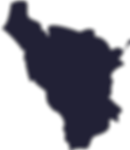 Vector (1).png