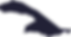 Vector-9.png