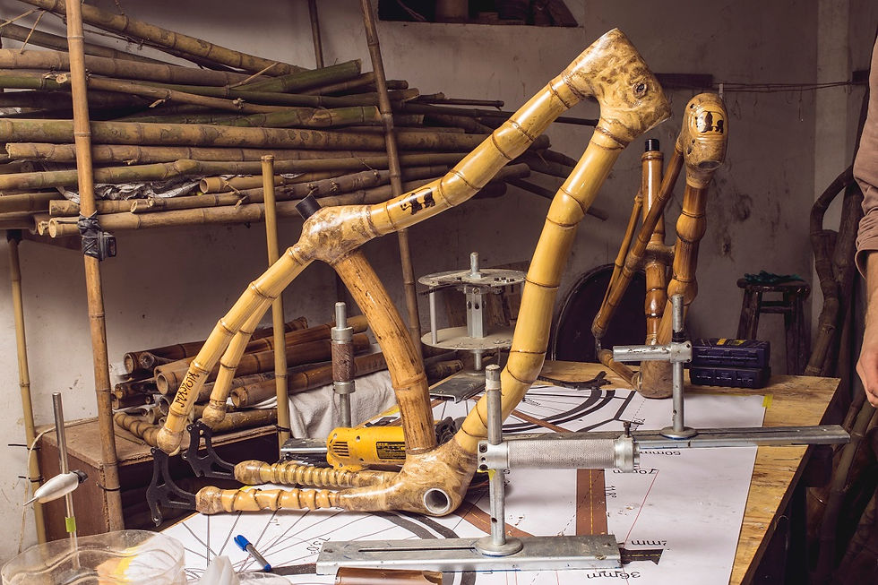 Miniatura: Curso de construção de Bicicletas de Bambu: 29 julho a 6 agosto 2018