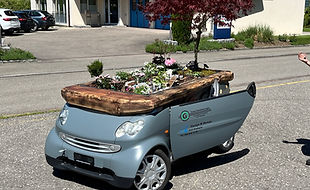 Vollverklebter Smart mit Gartenaufbau – Fahrzeugprojekt von Print & Cut Kessler