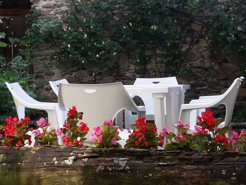 sedie e tavolo da giardino in primo piano fiori